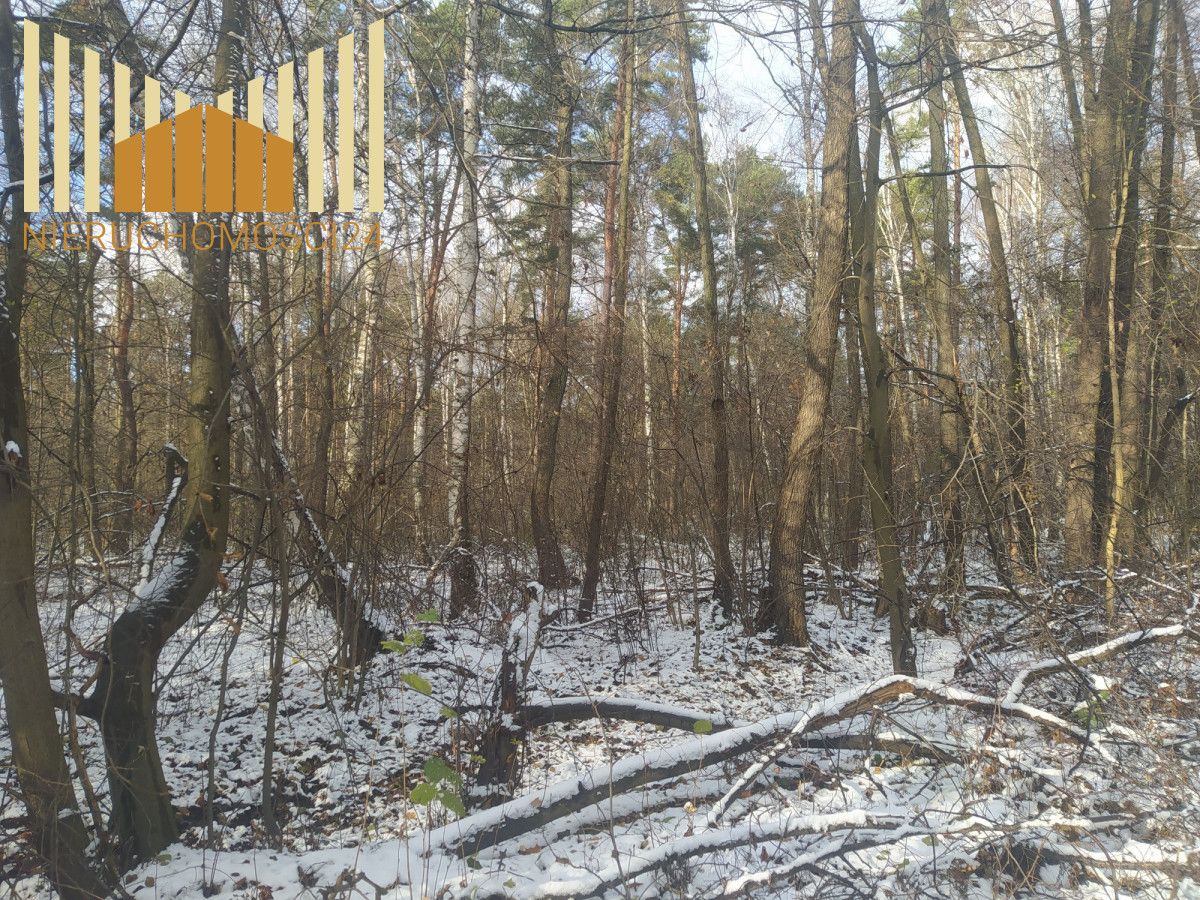 Działka inwestycyjna Warszawa Wawer, ul. Żarecka. Zdjęcie 3