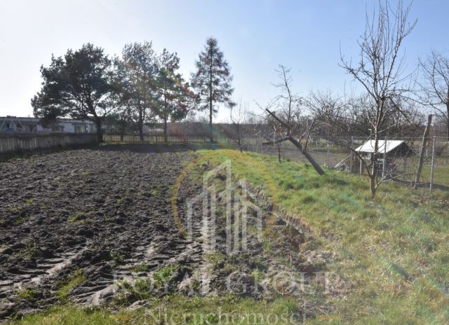 Działka siedliskowa Annobór-Kolonia. Zdjęcie 2