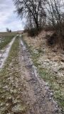 Działka rolna Rzepowo
