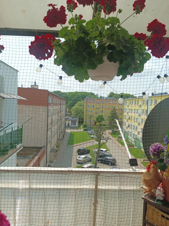 Mieszkanie 3-pokojowe Człuchów, Os. Piastowskie. Zdjęcie 14