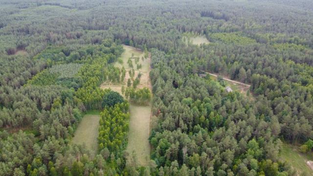 Działka rolna Dzierniakowo. Zdjęcie 11