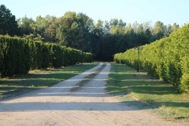 dom wolnostojący, 12 pokoi Przepitki. Zdjęcie 23