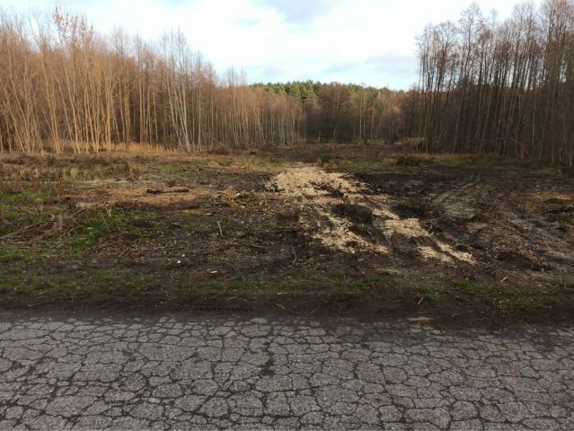 Działka budowlana Kołacin. Zdjęcie 1