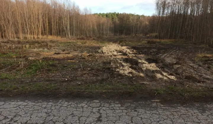 Działka budowlana Kołacin