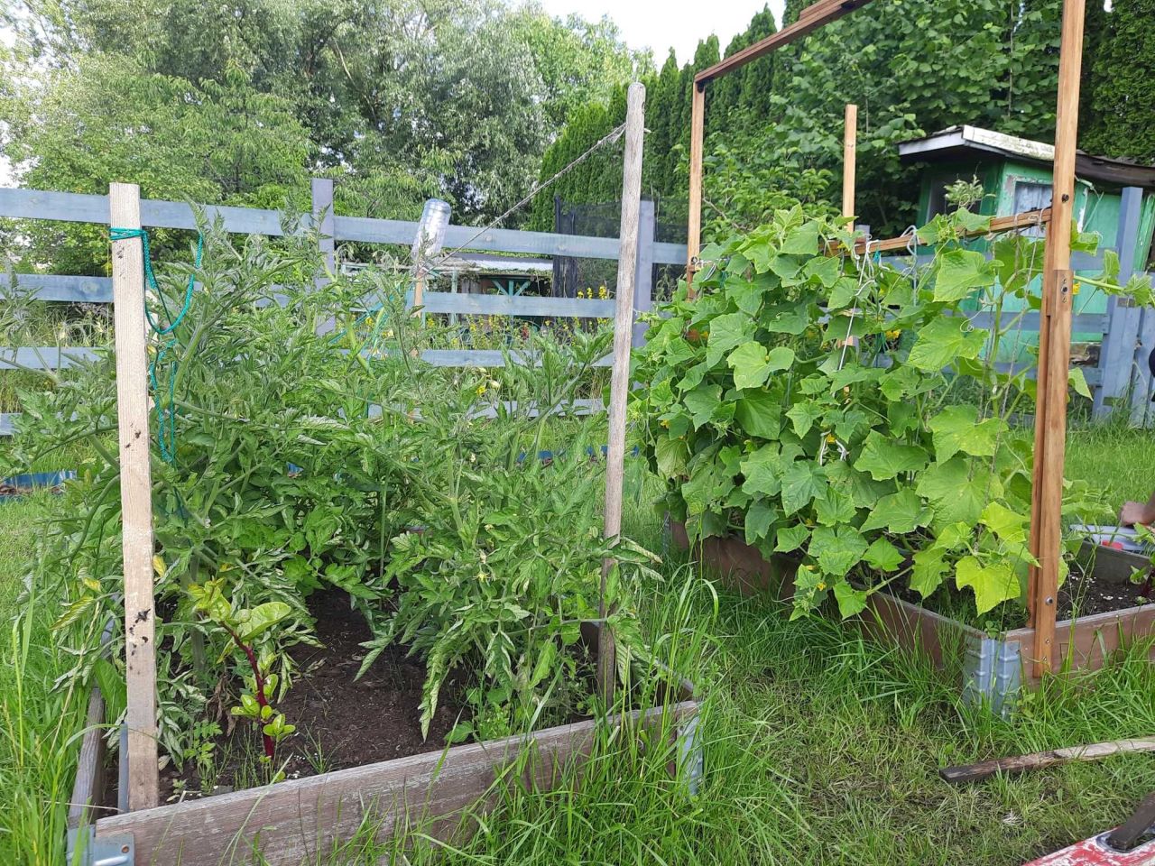 Działka rod Słupsk, ul. Towarowa. Zdjęcie 3