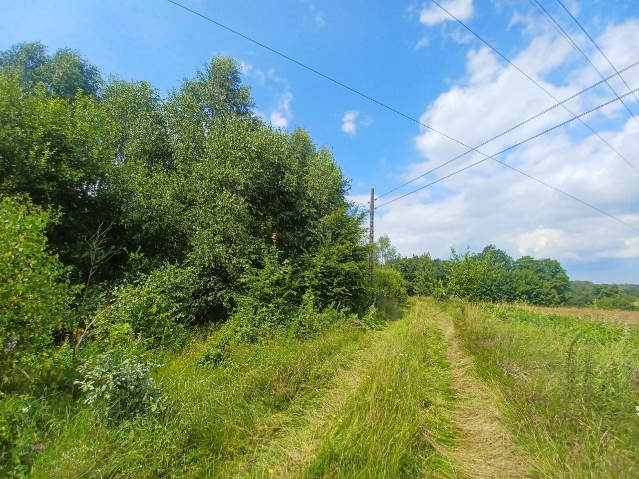 Działka budowlana Kołtki. Zdjęcie 8