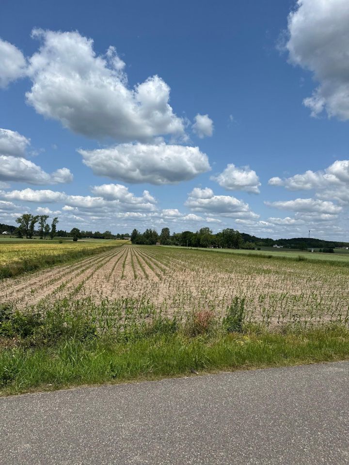 Działka budowlana Czyżemin. Zdjęcie 2