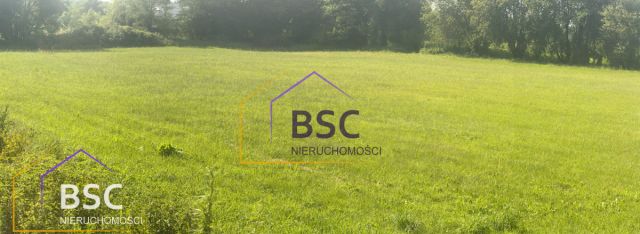 Działka inwestycyjna Nowa Wieś, ul. Serocka. Zdjęcie 3
