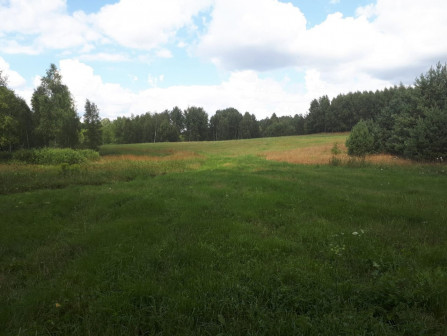 Działka Olsztynek