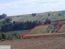 Działka rolna Lelowice. Zdjęcie 4