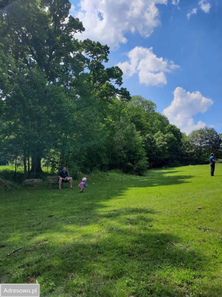 dom wolnostojący, 6 pokoi Rościszów. Zdjęcie 15