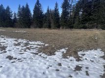 Działka budowlana Bogdanówka. Zdjęcie 2