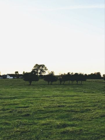 Działka rolno-budowlana Leśniewo. Zdjęcie 1