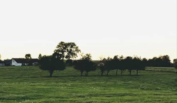 Działka rolno-budowlana Leśniewo