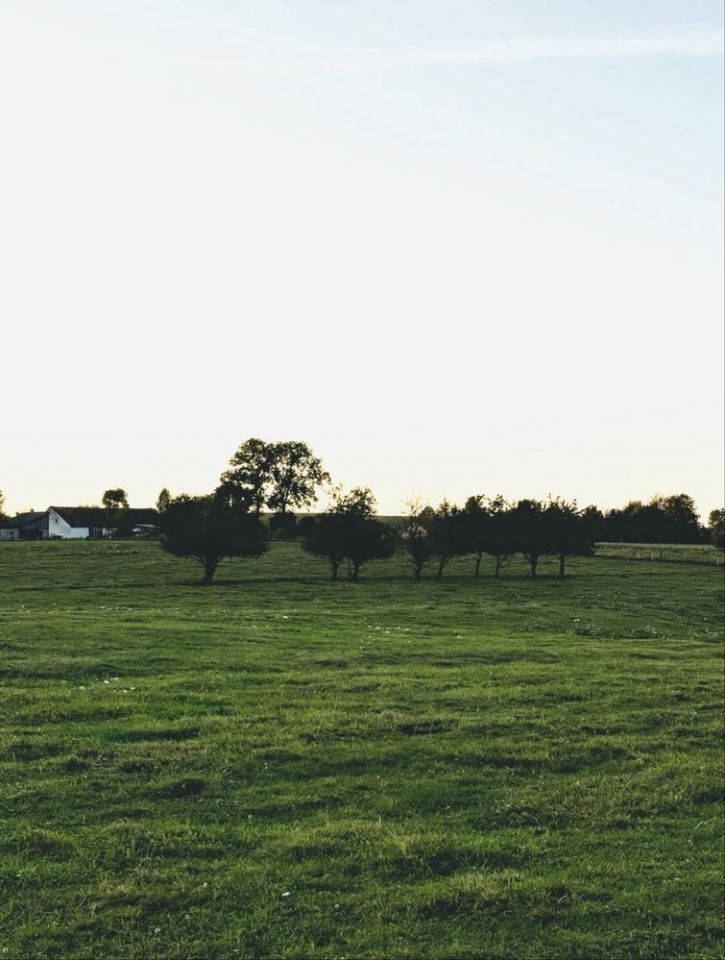 Działka rolno-budowlana Leśniewo. Zdjęcie 1
