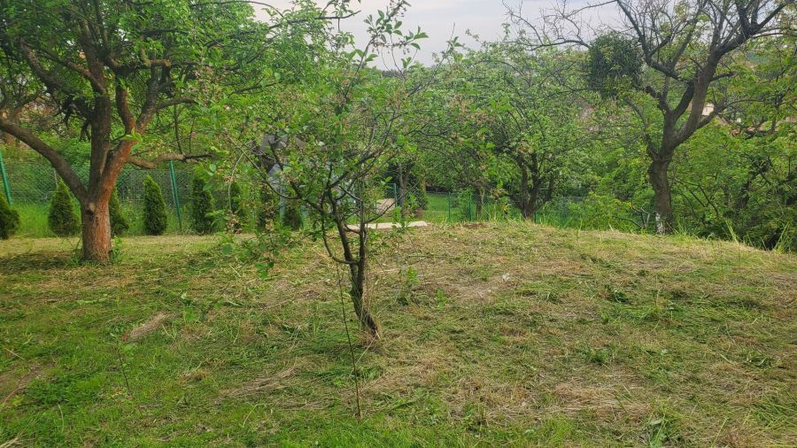 Działka rod Gdańsk. Zdjęcie 6