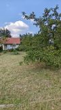 Działka rod Iłża. Zdjęcie 4