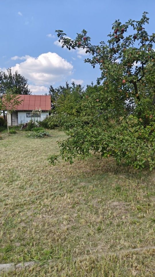 Działka rod Iłża. Zdjęcie 5
