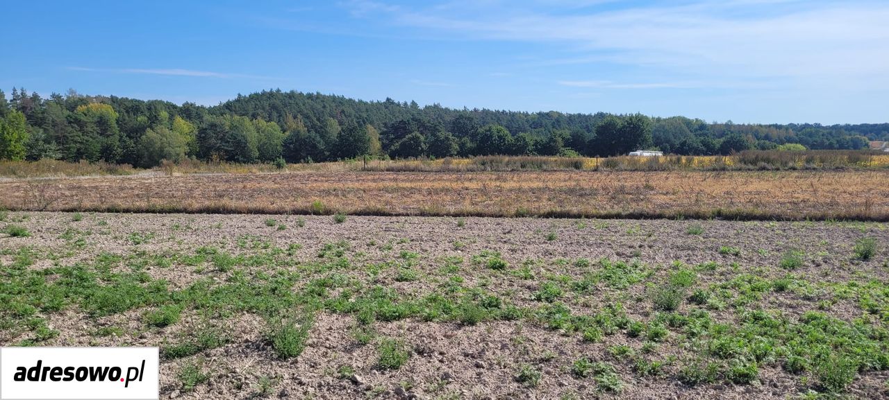 Działka rolno-budowlana Janików. Zdjęcie 8