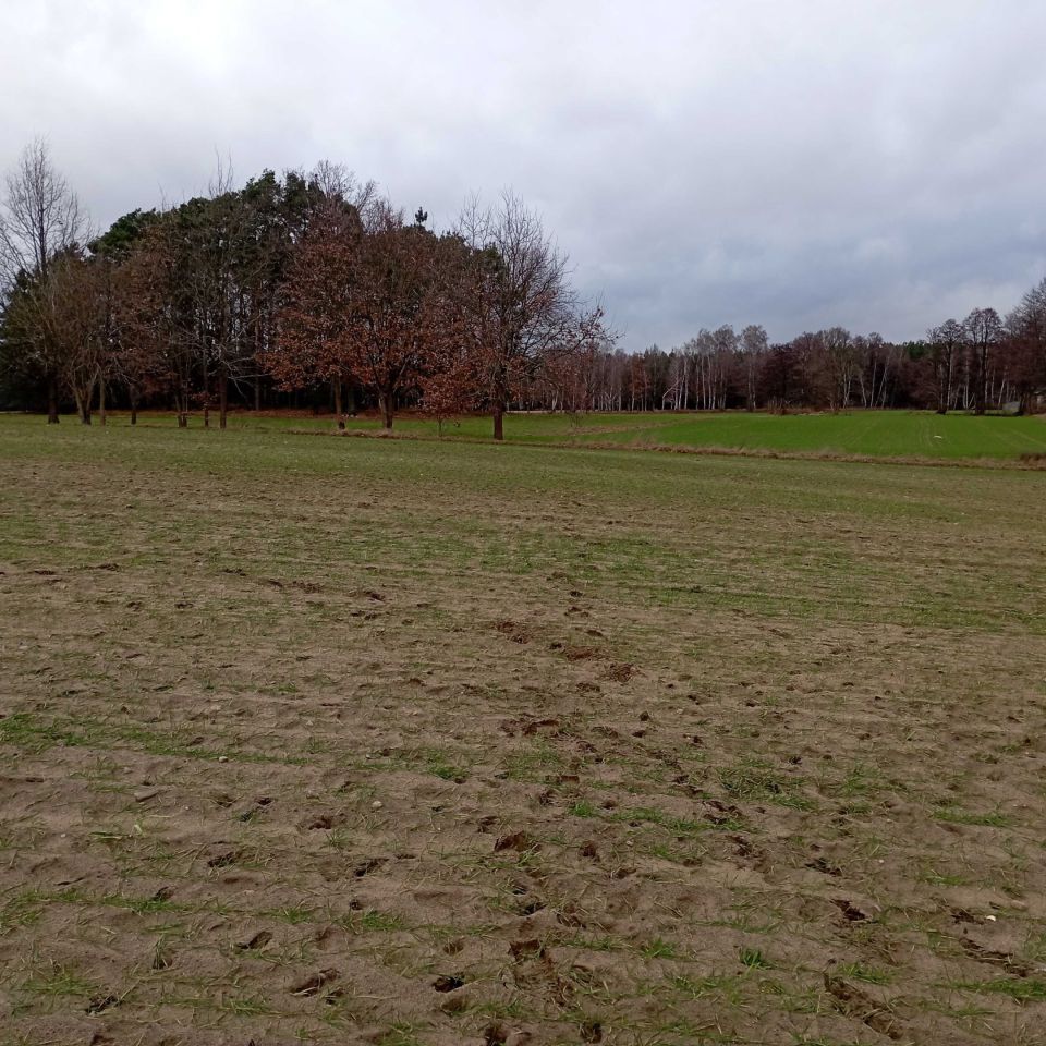 Działka budowlana Wytomyśl, ul. Wypoczynkowa. Zdjęcie 7