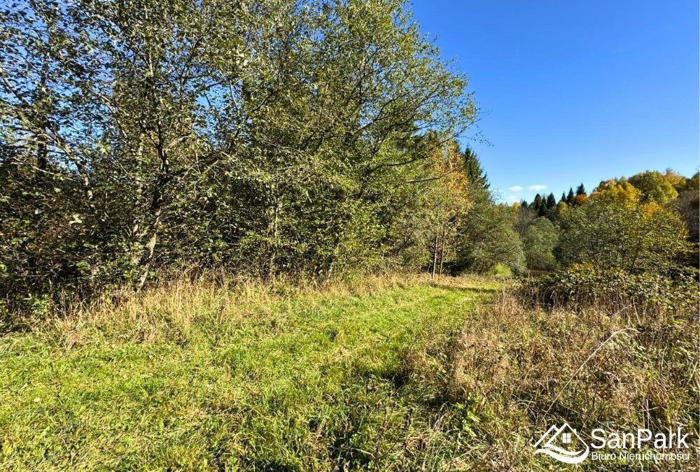 Działka rolna Krzywe. Zdjęcie 11