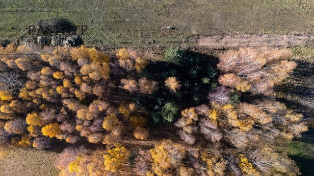 Działka budowlana Kaleń. Zdjęcie 3