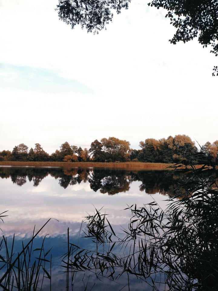 Działka rolno-budowlana Trąbin-Rumunki. Zdjęcie 3