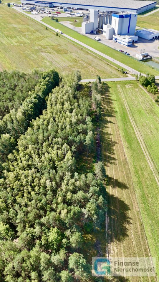 Działka inwestycyjna Podkonice Duże. Zdjęcie 10