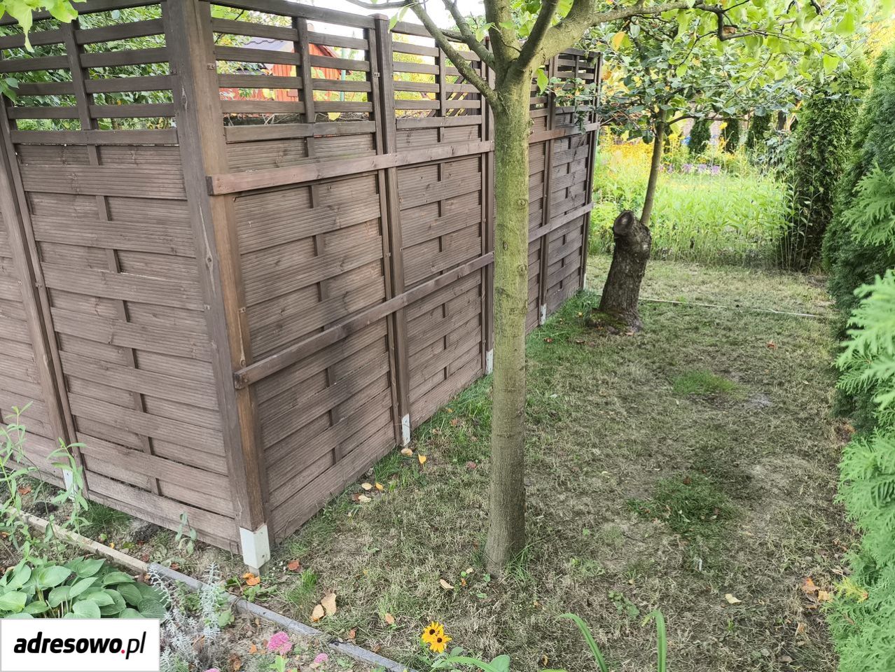 Zdjęcie 5