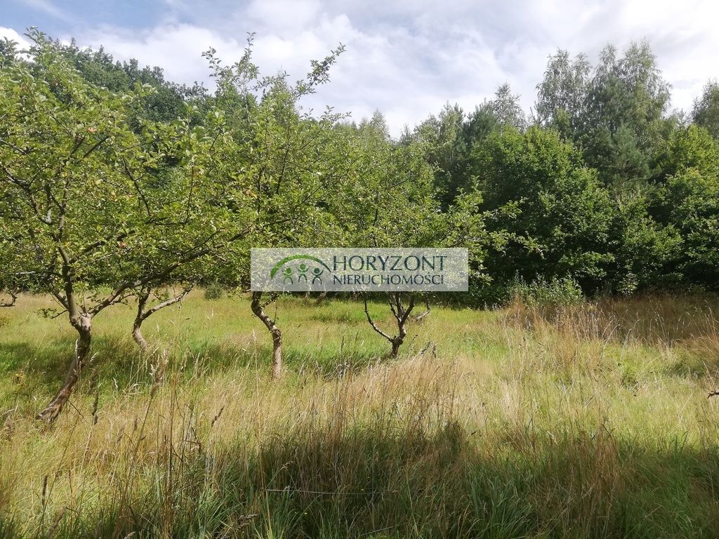 Działka inwestycyjna Babidół. Zdjęcie 19