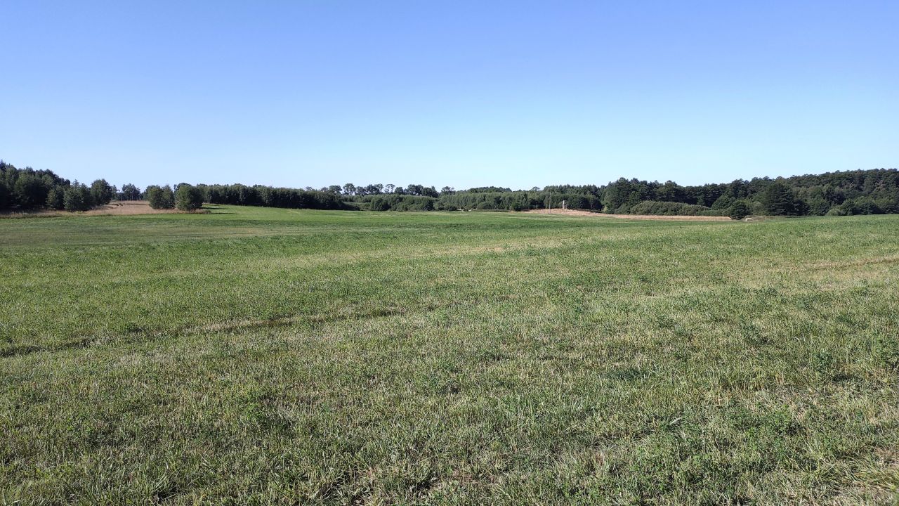 Działka budowlana Siemiany. Zdjęcie 5