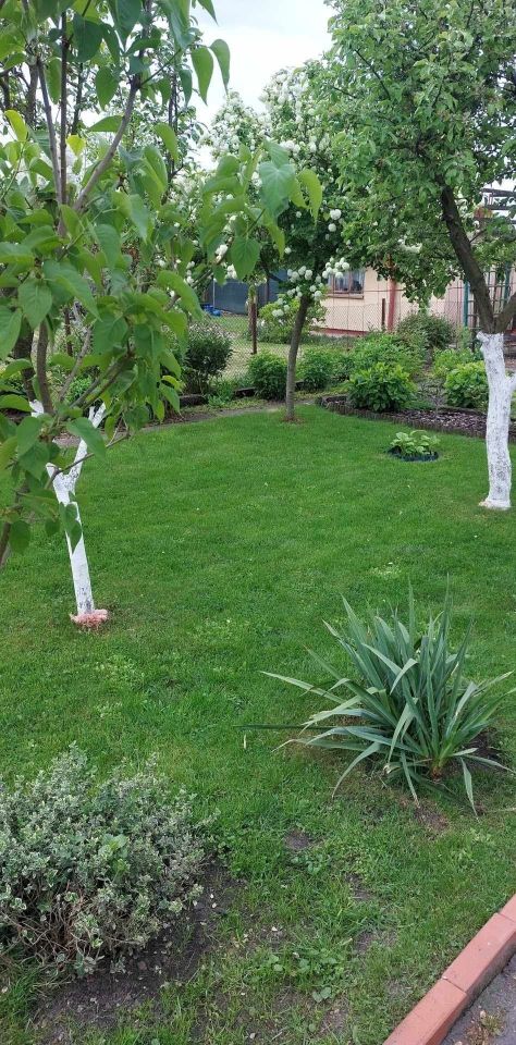 Działka rod Giżycko. Zdjęcie 2