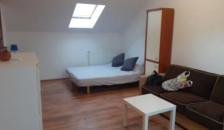 Mieszkanie 1-pokojowe Katowice Podlesie