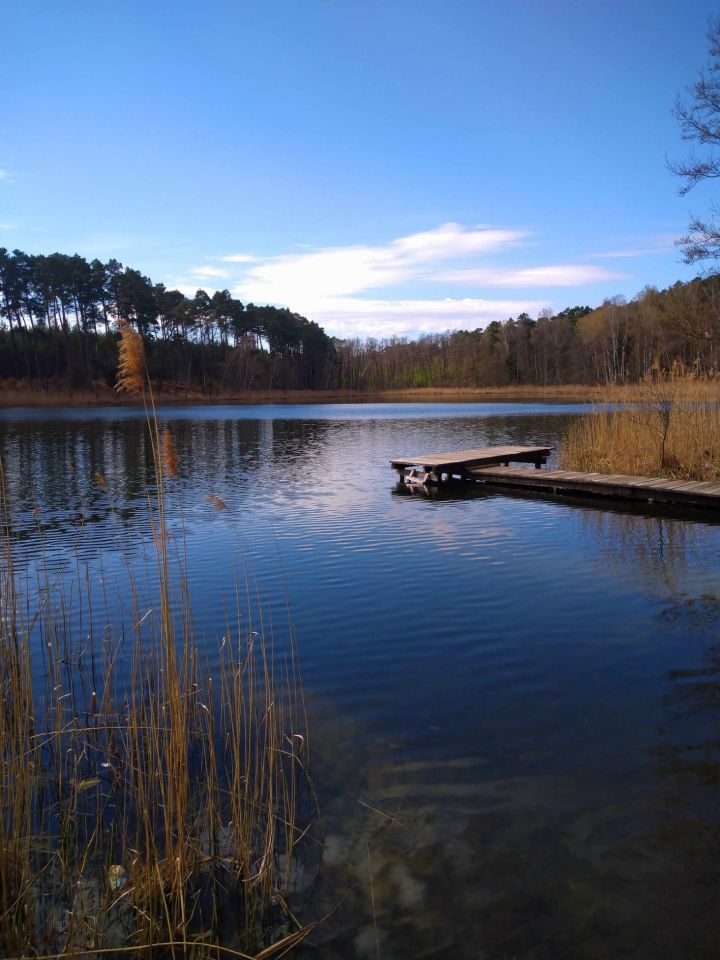 Działka rolna Lgiń. Zdjęcie 1
