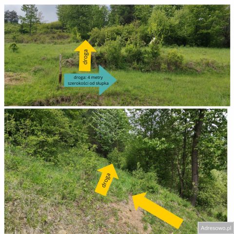 Działka rolna Szlachtowa. Zdjęcie 1