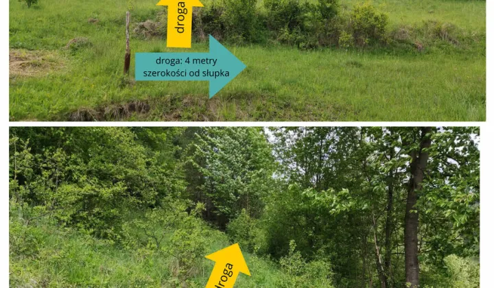 Działka rolna Szlachtowa