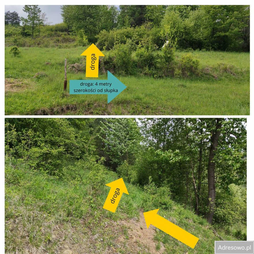 Działka rolna Szlachtowa. Zdjęcie 1