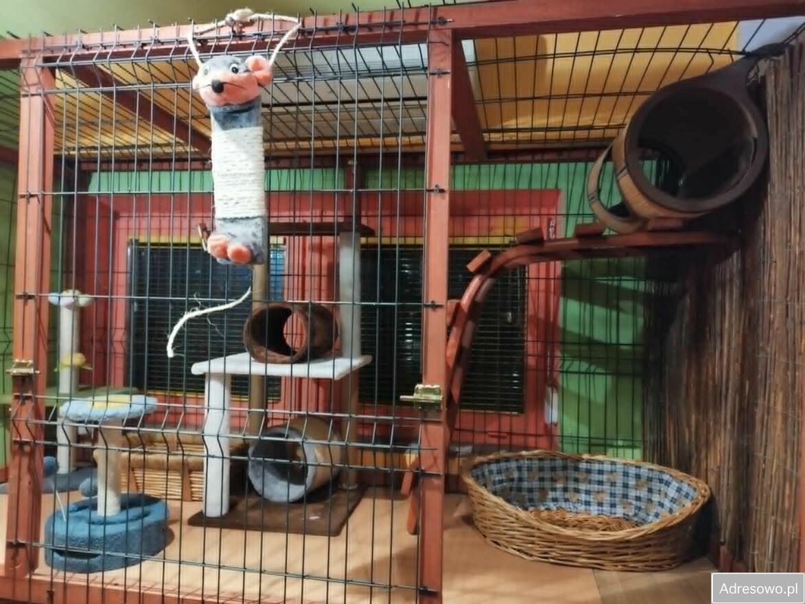 Lokal Włocławek. Zdjęcie 5