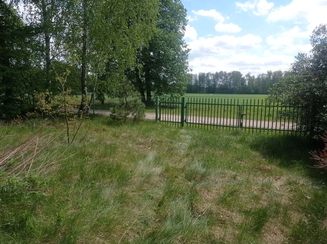siedlisko, 4 pokoje Bednarzówka. Zdjęcie 10
