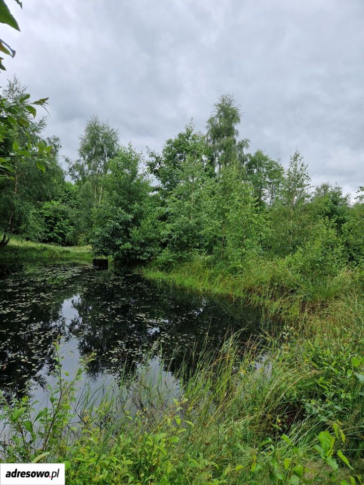 Działka rolno-budowlana Gruszków. Zdjęcie 9