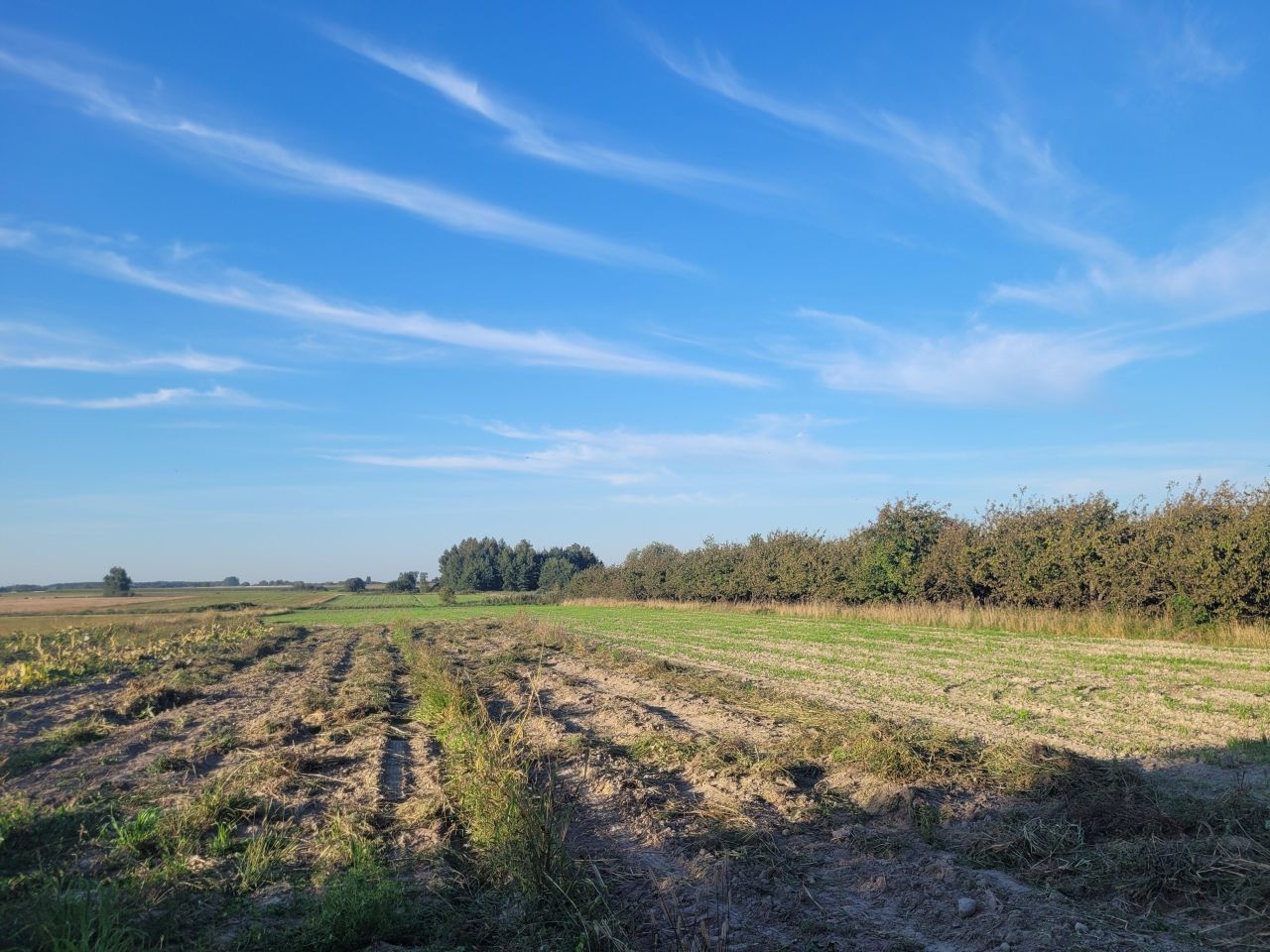 Działka rolna Stary Kobylnik. Zdjęcie 2