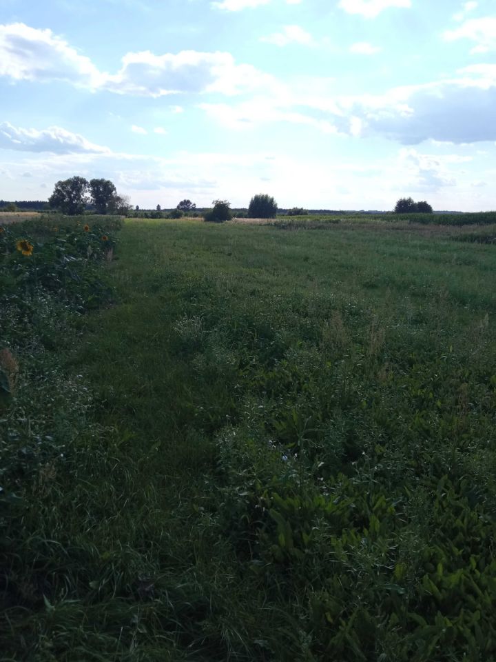 Działka rolna Koprzywnica. Zdjęcie 6