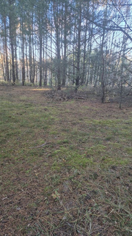 Działka rolno-budowlana Dubielno. Zdjęcie 3