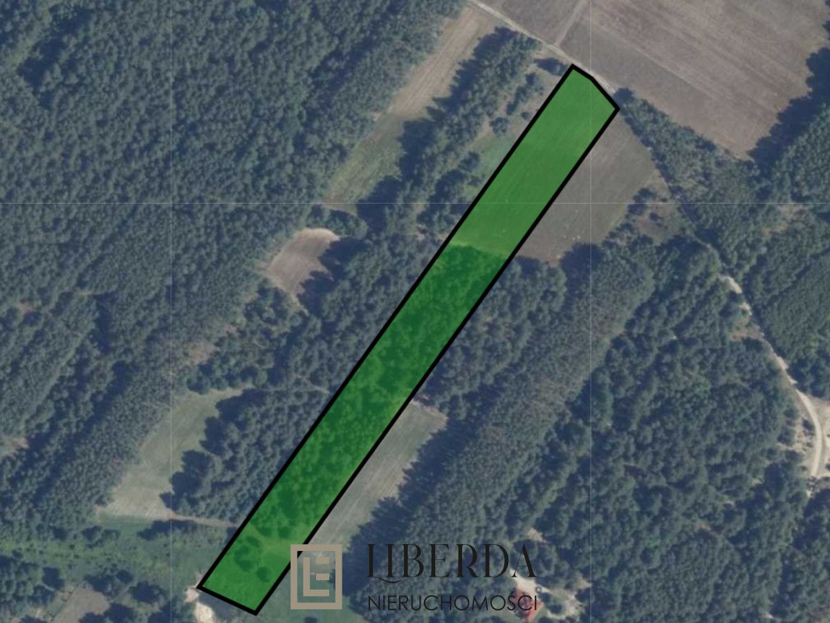 Działka rolna Kąty-Miąski. Zdjęcie 4