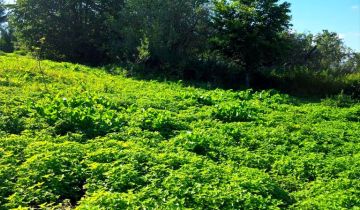 Działka budowlana Tarławki