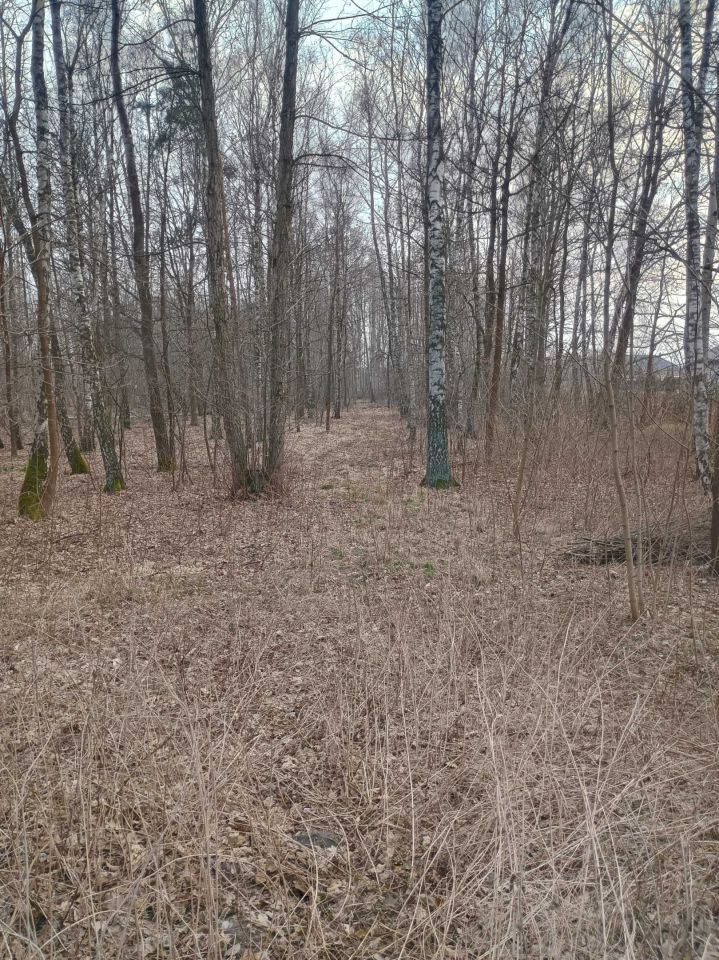 Działka Kończyce-Kolonia. Zdjęcie 3