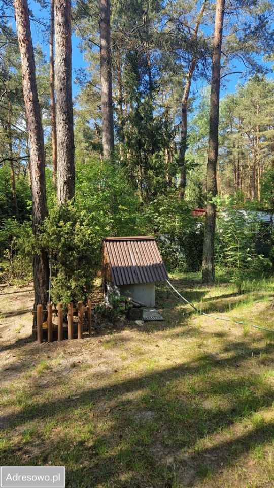 Działka leśna Rokitnica, ul. Gucińska. Zdjęcie 13