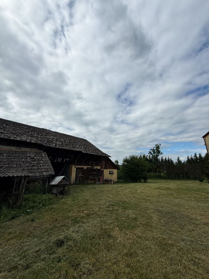 gospodarstwo Chyrzyna. Zdjęcie 5