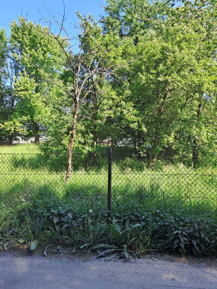 Działka rolna Pogorzelec. Zdjęcie 8