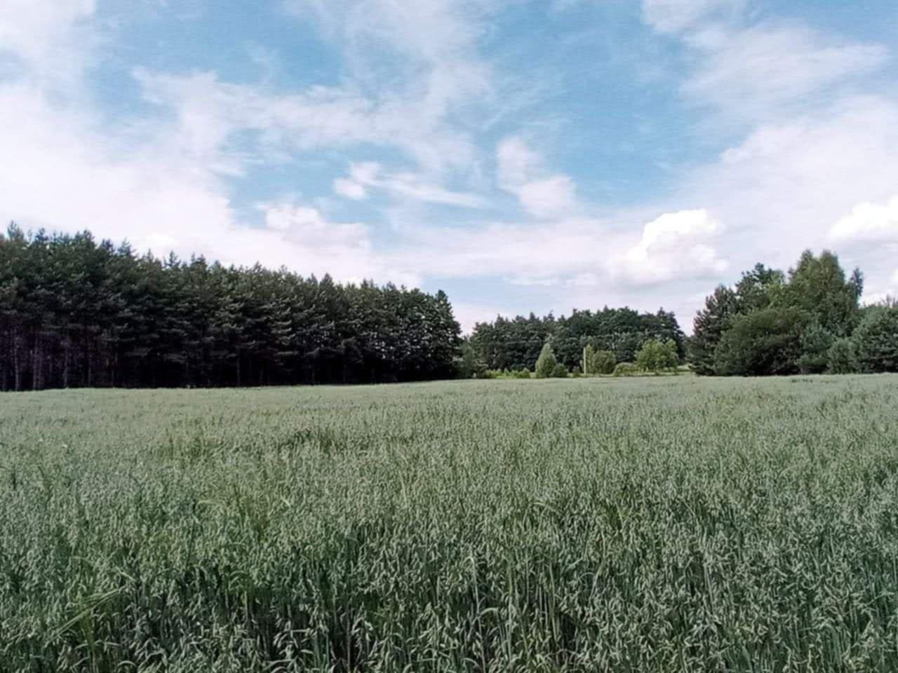 Działka budowlana Nowa Jastrząbka